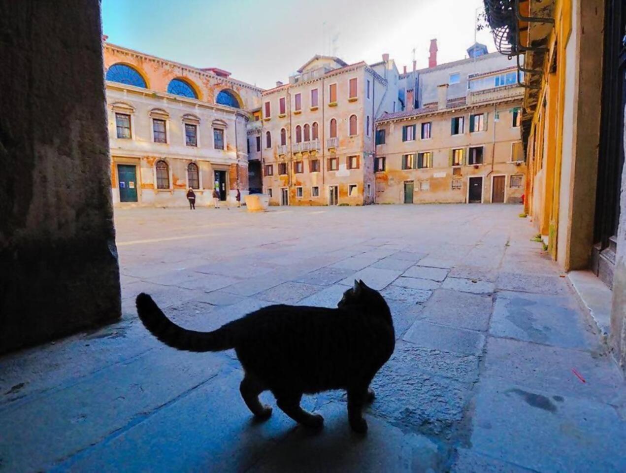 Ca Perdon Apartment Venezia Eksteriør bilde